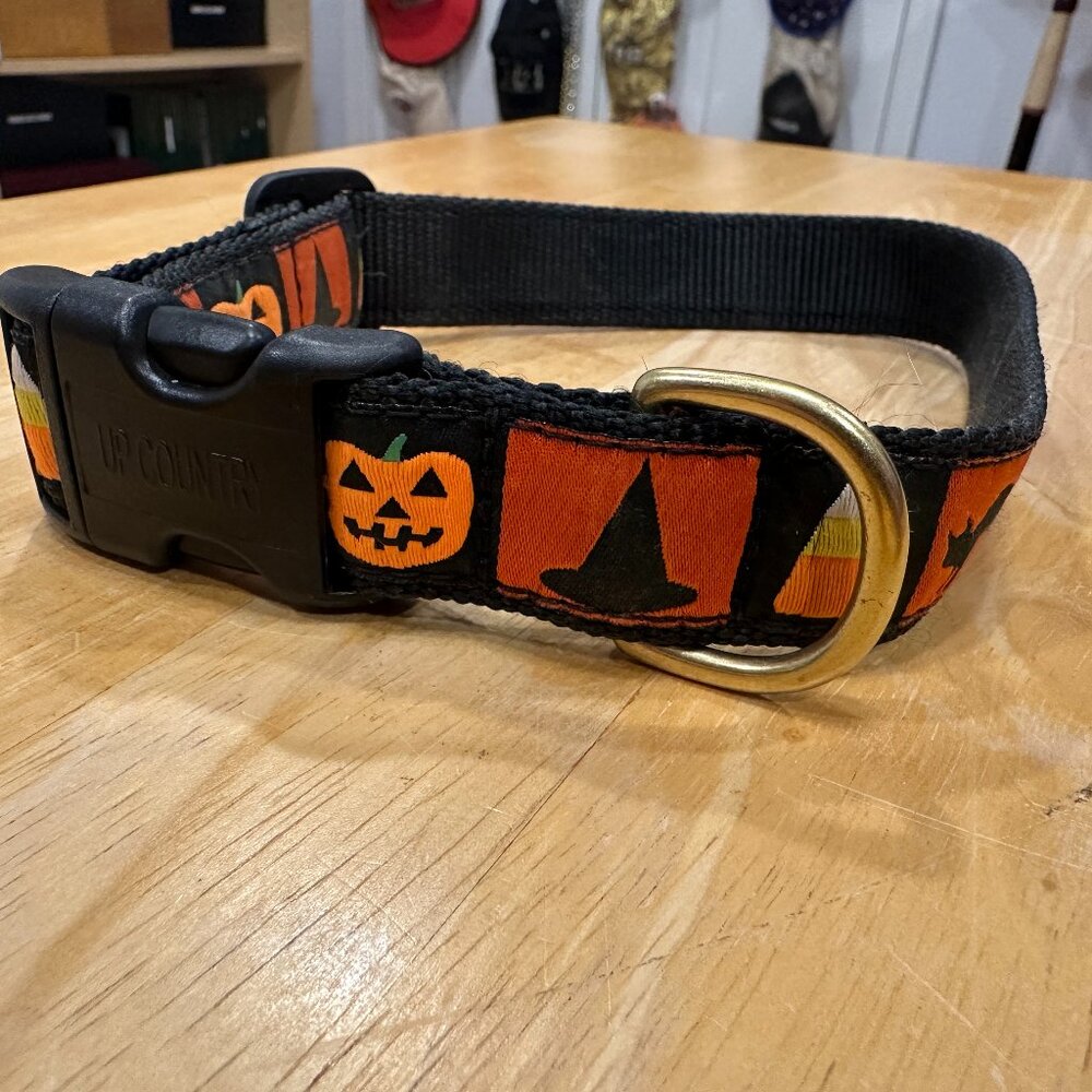 Up Country Dog Collars - Halloween Witch Pattern